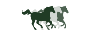 Pennsylvania Equine Council